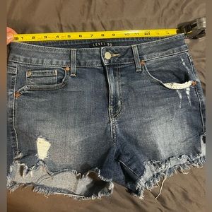 Level 99 Jean shorts EUC